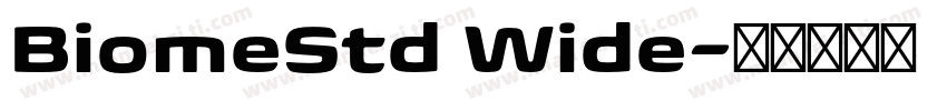 BiomeStd Wide字体转换